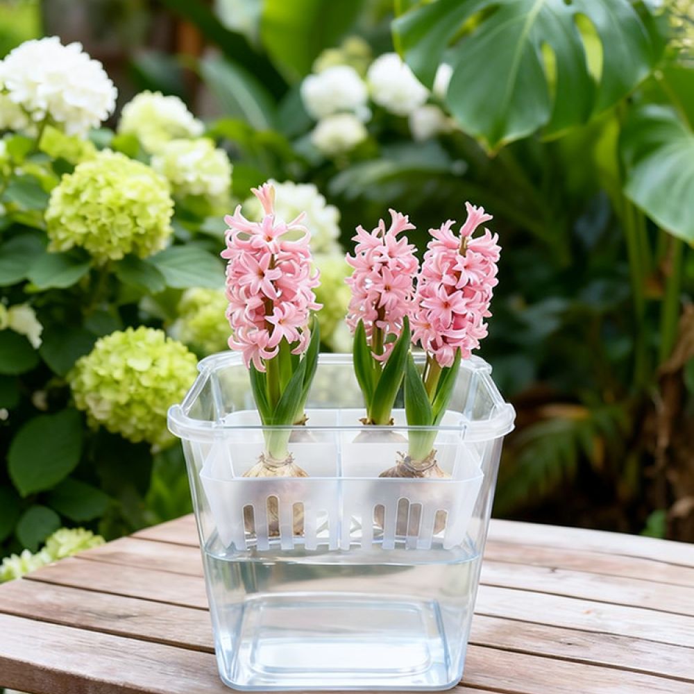 Indoor Plants - Гидропонная ваза для тюльпанов и лилий,