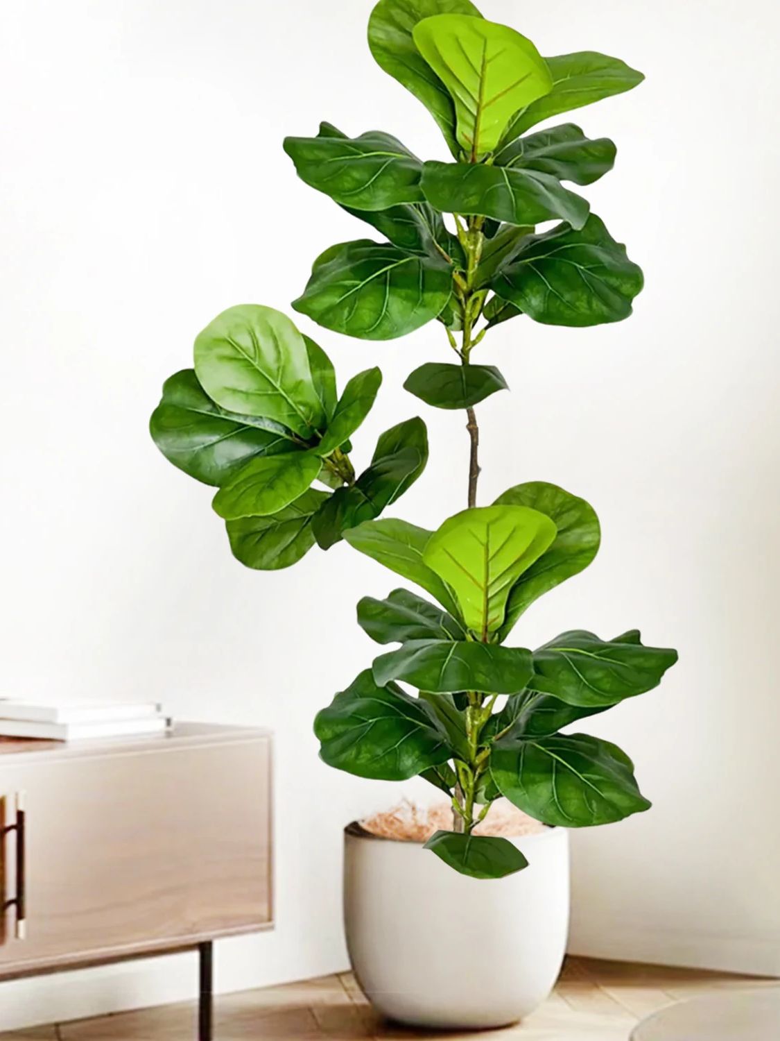 Искусственное дерево Фикус Лир – обзор и цена Fiddle Leaf Fig