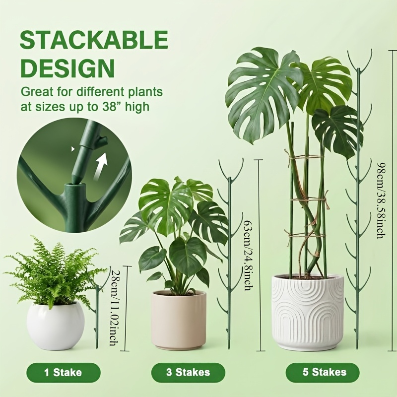 Опоры для растений монстеры: 5 – обзор и цена Plant Support Stake