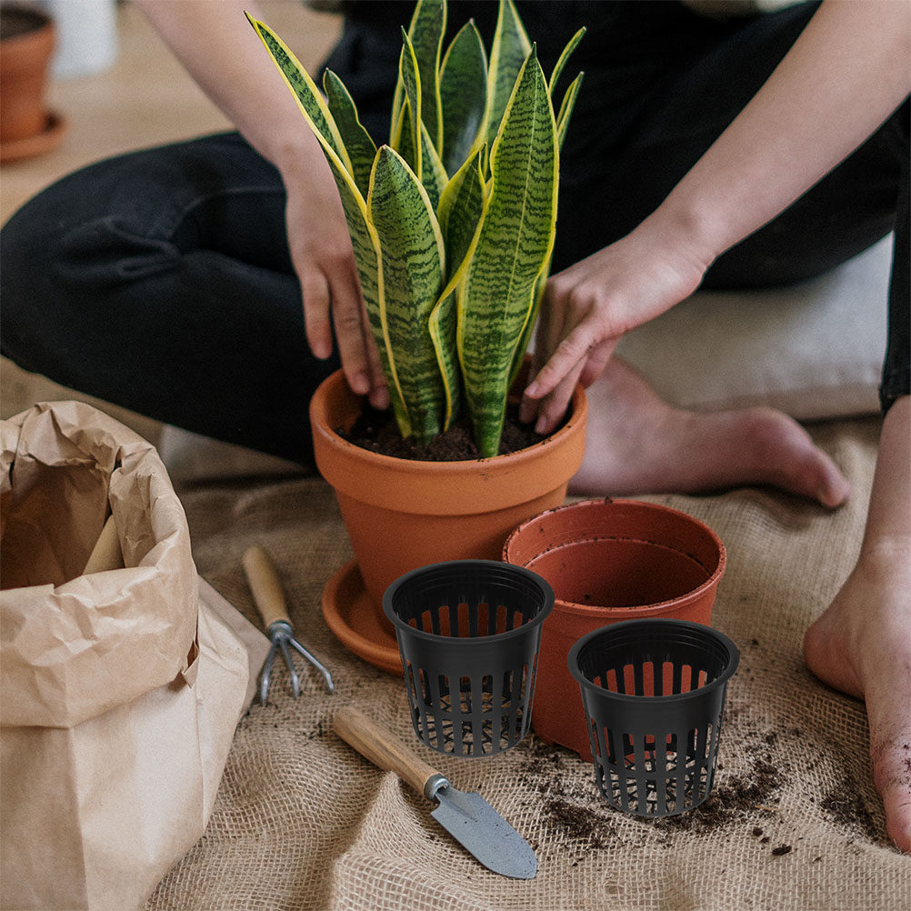 15 шт. пластиковых сетчатых го – обзор и цена Indoor Plants