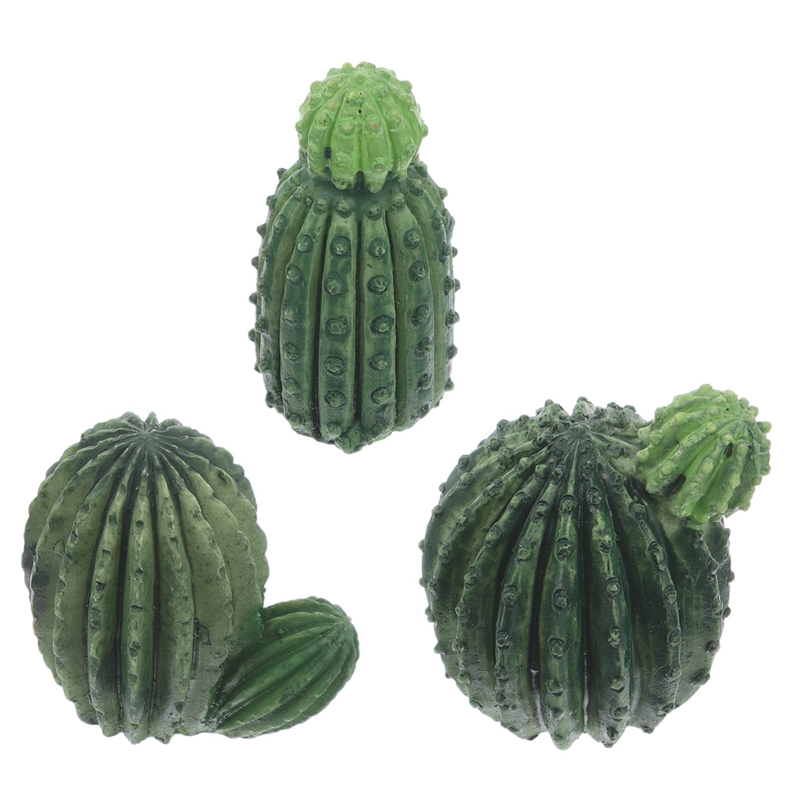 Набор миниатюрных суккулентов  – обзор и цена Succulent Set