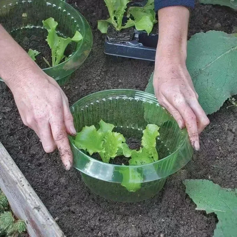 Защитные кольца для слизи раст – обзор и цена Terracotta Pot